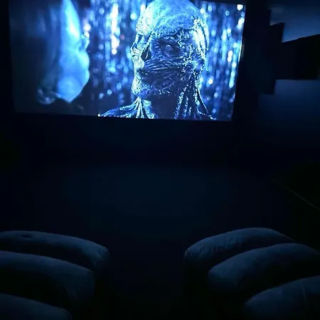 Maison Avec Salle Cinéma Privée * Berlaimont