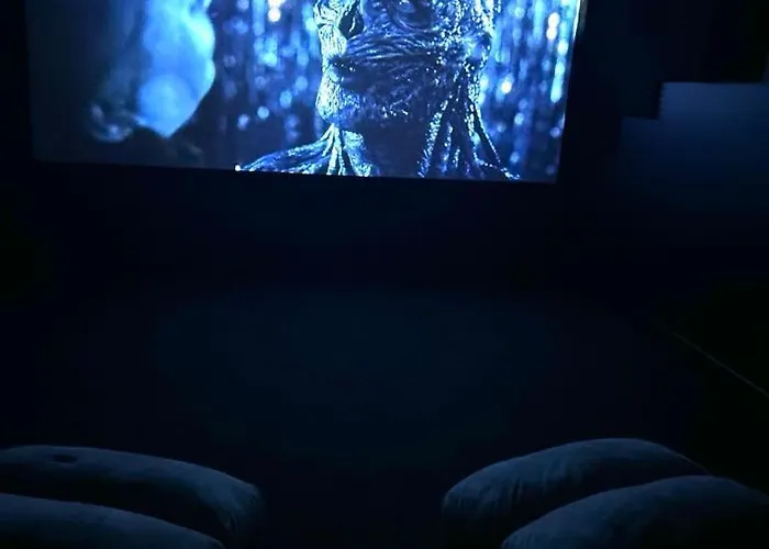 Maison Avec Salle Cinema Privee * Berlaimont